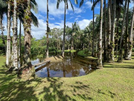 REF. 363 - Chacara Colônia Pereira 